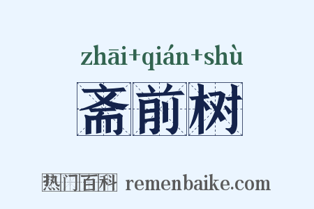 斋前树是什么意思的图片